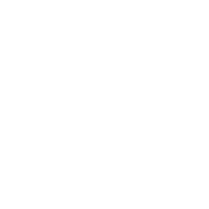 seo optomization